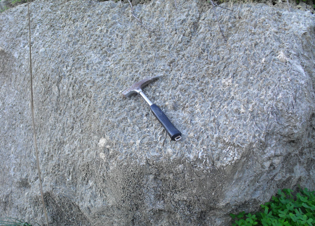 Cristalli di gesso selenitico